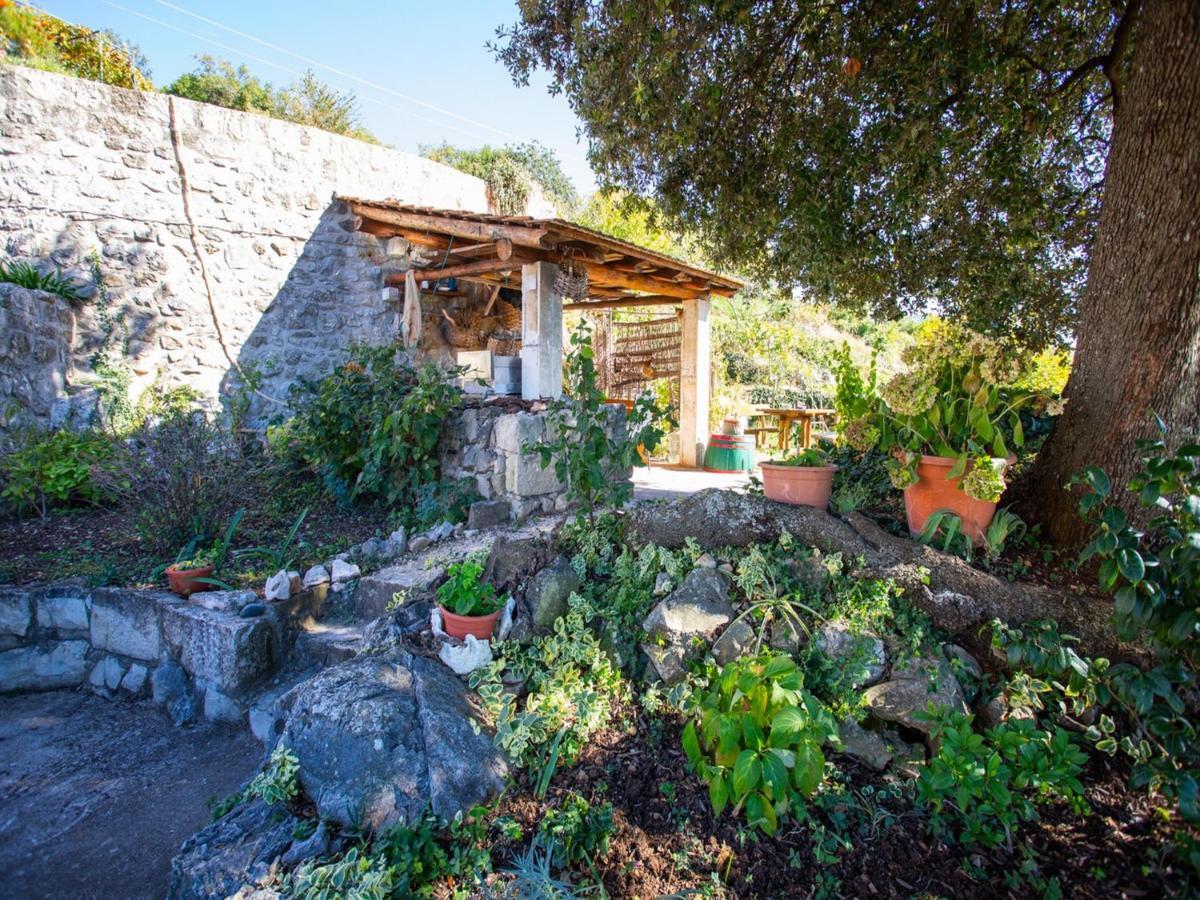 Country House Bakicevo Čilipi 客房 照片