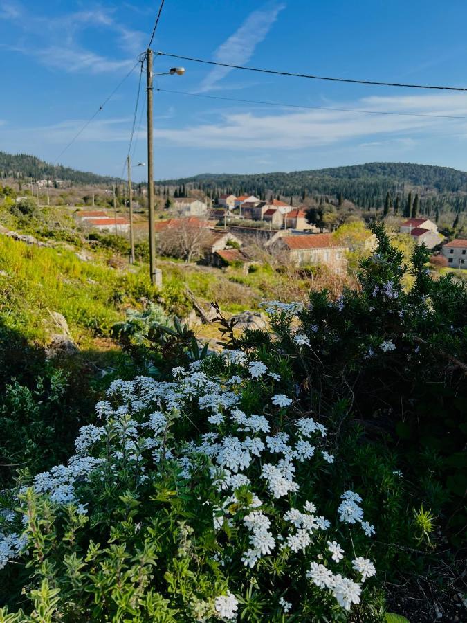 Country House Bakicevo Čilipi 外观 照片