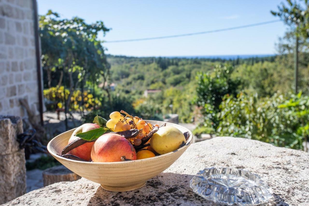 Country House Bakicevo Čilipi 外观 照片